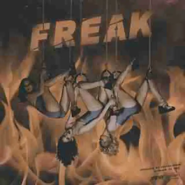 Instrumental: Smidrin - Freak